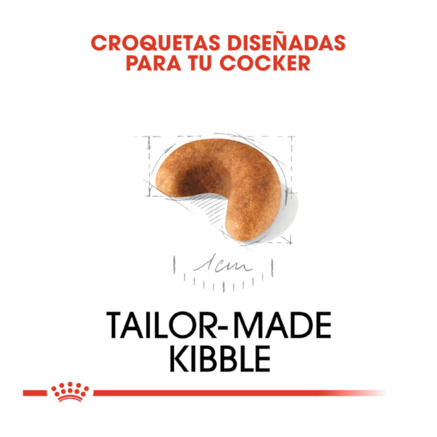 3 kg Royal Canin Puppy Cocker pienso para perros, , large indicador imagen numero 5